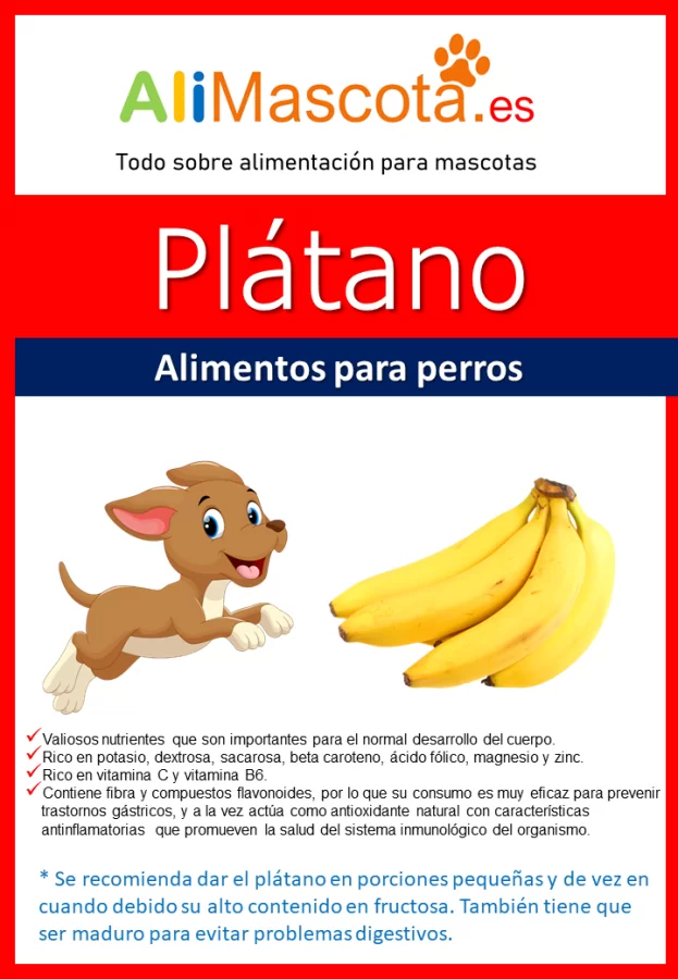 beneficios del plátano para perros