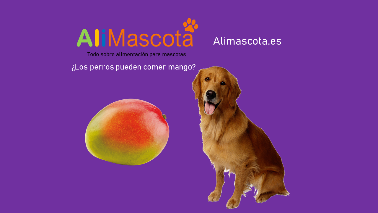 los cachorros pueden comer mangos