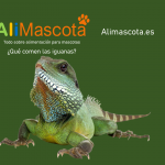 Qué comen las iguanas