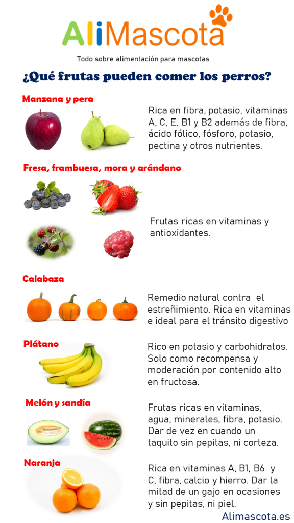 Qué frutas puede comer los perros