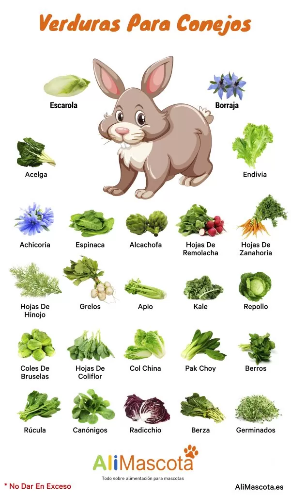 Verduras que pueden comer los conejos