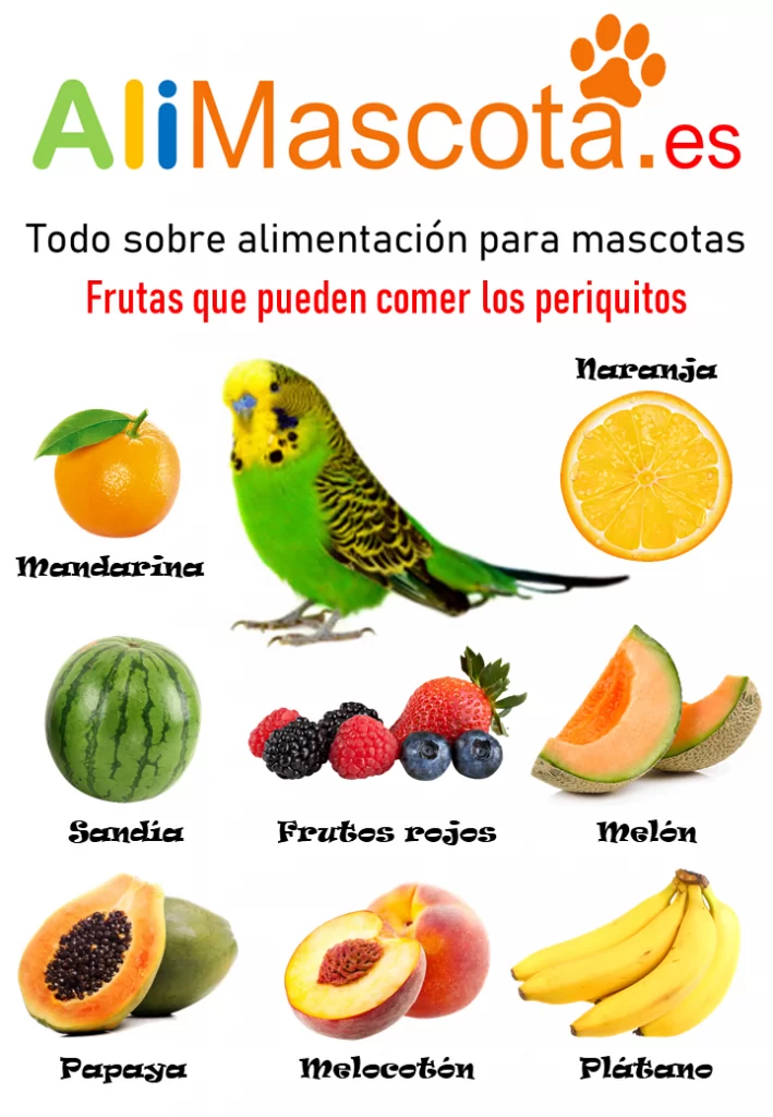 Frutas para periquitos