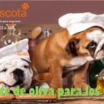 el aceite de oliva para los perros