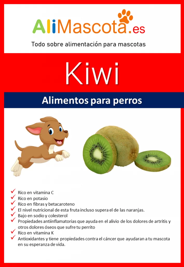 beneficios del kiwi para perros