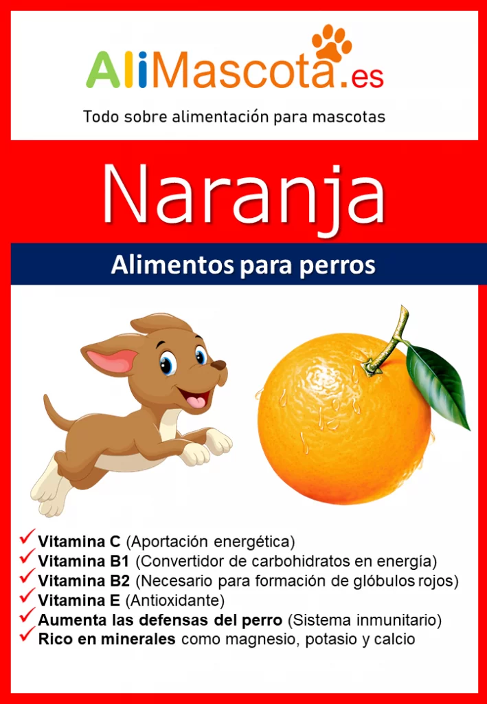 naranja para perros