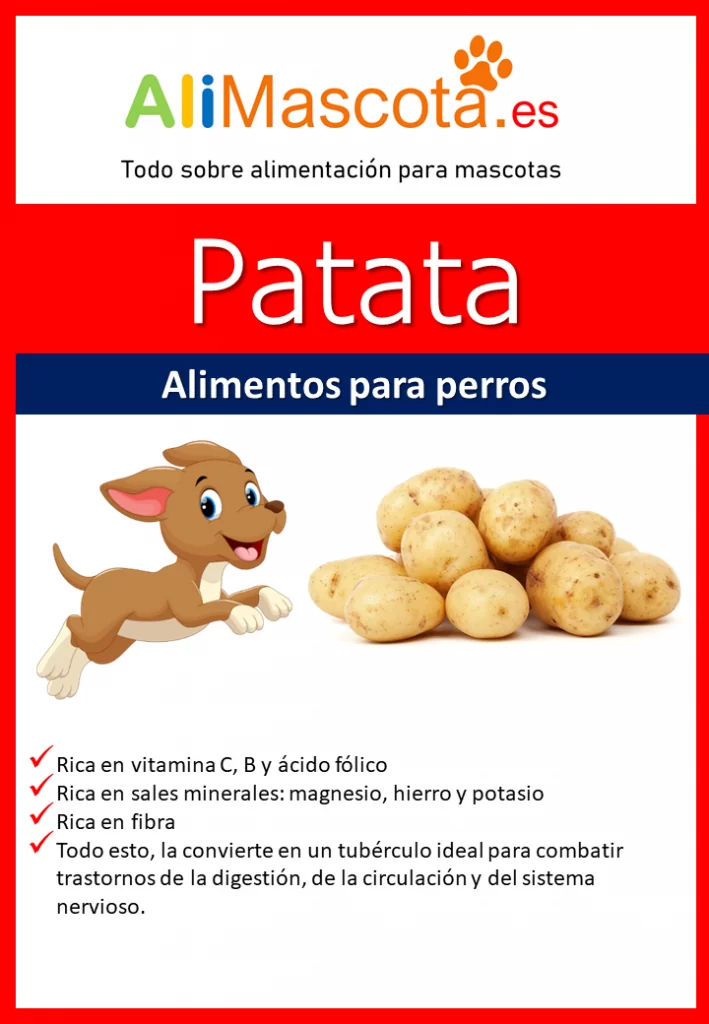Patatas para perros