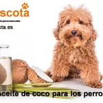 Aceite de coco para los perros