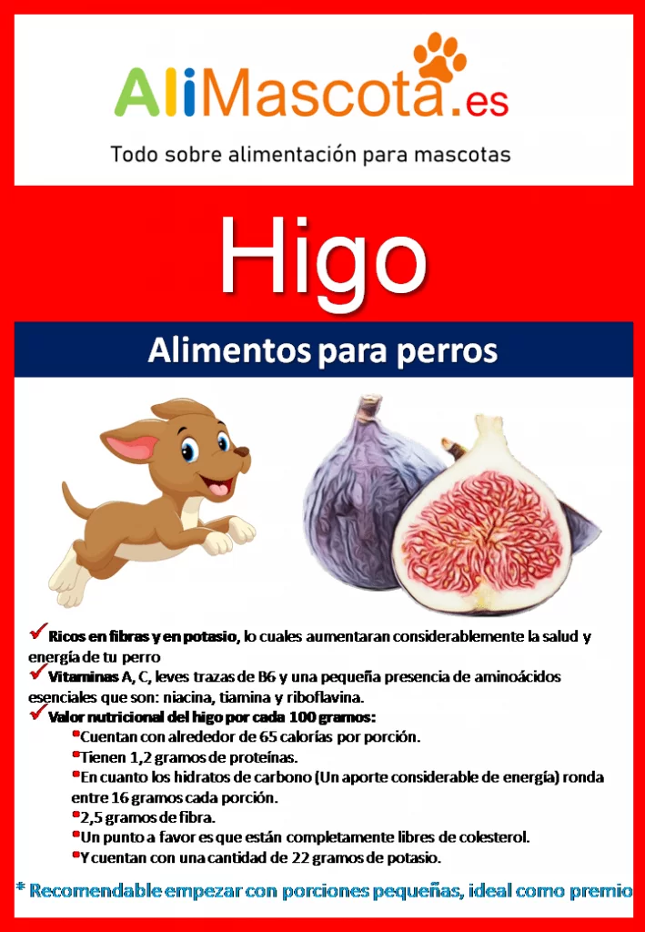 Beneficios de los higos para perros