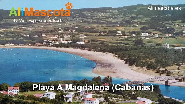 Playa canina A Magdalena en Cabanas