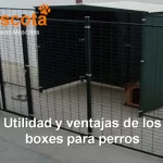 Utilidad y ventajas de los boxes para perros