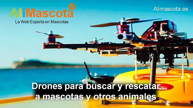 drones para salvar mascotas