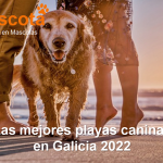 las mejores playas para perros en Galicia 2022