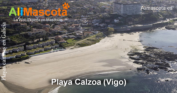playa canina Calzoa Vigo