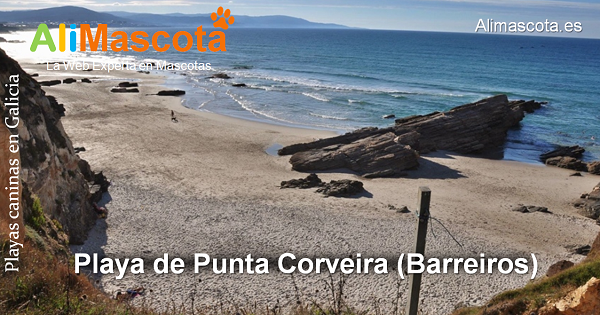 playa canina Punta Corveira Barreiros