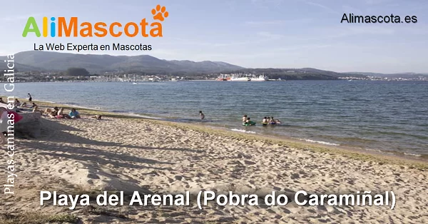 playa canina del arenal en Pobra do Caramiñal
