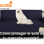 cómo proteger el sofá de tu mascota querida