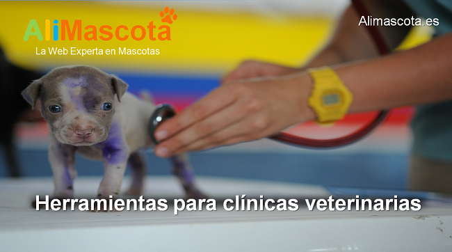 herramientas para clínicas veterinarias