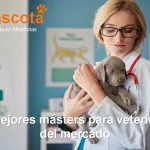 los mejores másters para veterinarios del mercado