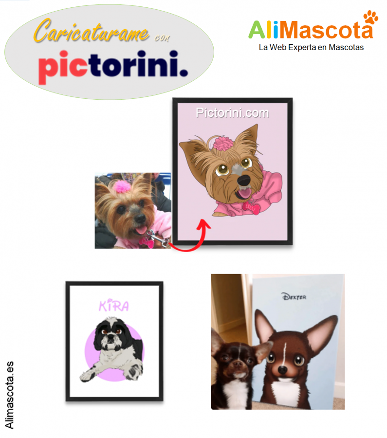 caricaturas perros gatos mascotas pictorini
