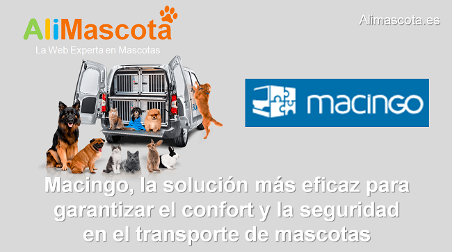 Macingo empresa de transporte de mascotas