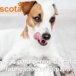 Piensos para perros de calidad fabricados en España
