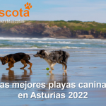 mejores playas para perros en Asturias