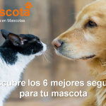 mejores seguros para mascotas en España
