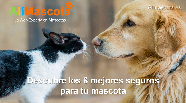 mejores seguros para mascotas en España