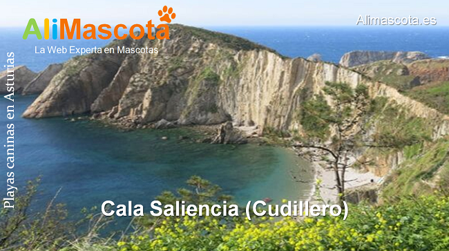 playa Cala Saliencia Cudillero para perros Asturias