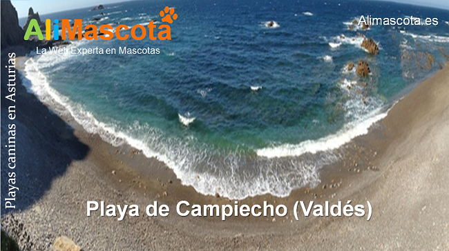 playa de Campiecho Valdés para perros Asturias