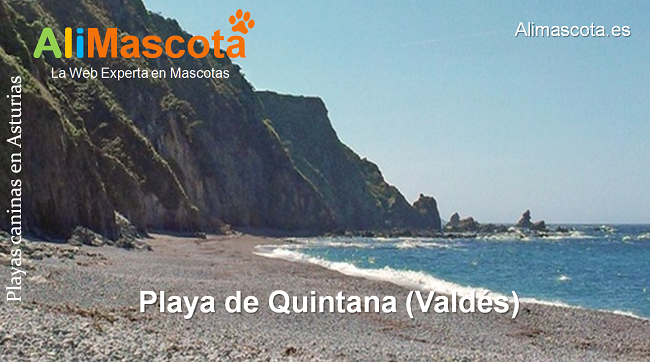 playa de Quintana Valdés para perros Asturias