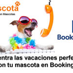 vacaciones perfectas con tu mascota en Booking