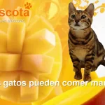 los gatos pueden comer mango