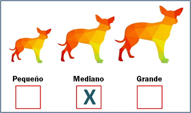 razas de perros medianos