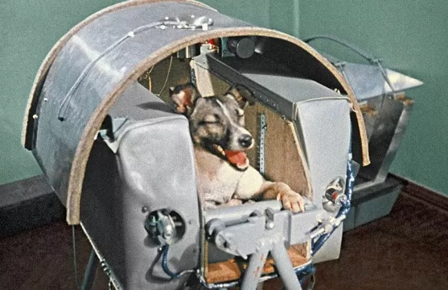 Laika la perra de la Unión Soviética Sputnik