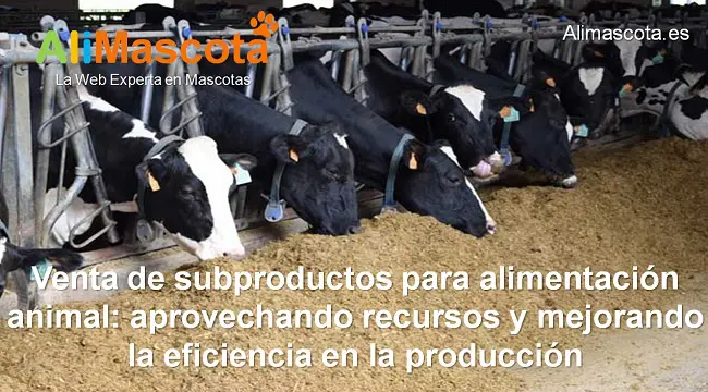 Venta de subproductos para alimentación animal: aprovechando recursos y mejorando la eficiencia en la producción