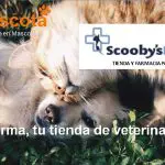 Scoobyfarma tu tienda de veterinaria online