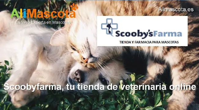 Scoobyfarma tu tienda de veterinaria online