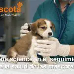 El data science en el seguimiento de la salud de las mascotas