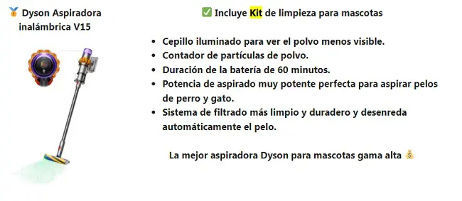 Kit Dyson aspiradora inalámbrica V15 especial limpieza mascotas