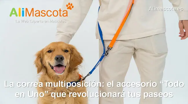 La correa multiposición el accesorio Todo en Uno que revolucionará tus paseos