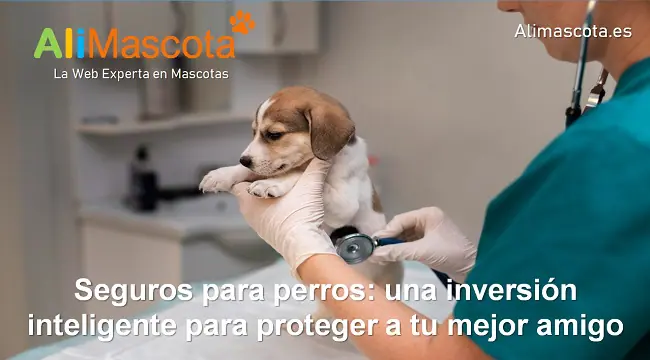 Seguros para perros una inversión inteligente para proteger a tu mejor amigo