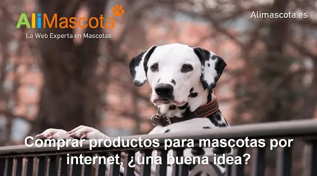 Comprar productos para mascotas por Internet
