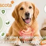 Salud digestiva en perros guía para entender y cuidar su bienestar estomacal